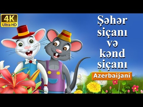 Şəhər siçanı və kənd siçanı | Town Mouse And The Country Mouse in Azeri | Azərbaycan Nağılları