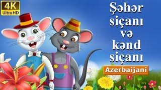 Şəhər siçanı və kənd siçanı | Town Mouse And The Country Mouse in Azeri | Azərbaycan Nağılları