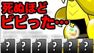 【恐怖】スーパーカーニバル5回引いて出たキャラでダンジョンに挑む【パズドラ】