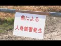クマ被害か 岩手で男性遺体発見 宮城では女性が追い払おうと骨折(2026年5月21日)