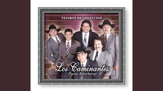 Video thumbnail of "Los Caminantes - Ya No Te Vayas"