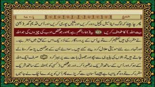 22 SURAH HAJJ HANYA TERJEMAHAN BAHASA URDU DENGAN TEKS FATEH MUHAMMAD JALANDRI HD
