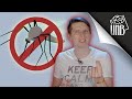 Czy powinniśmy zabić wszystkie komary?