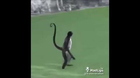 Olha isso aí