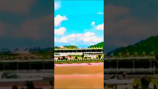 gelaran motogp mandalika || sirkuit internasional pertamina mandalika #sub #edit #short #fyp #lol