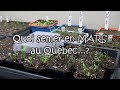 On sème quoi en MARS au Québec ?