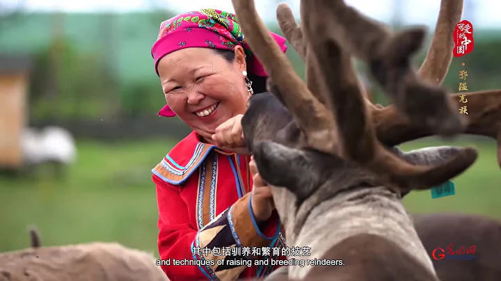 Fascinating China EP03: The Ewenkis, the Only Reindeer-raising Ethnic Group in China - DayDayNews