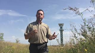 Humility vs Self Deprecation - Rhoads Life Coaching