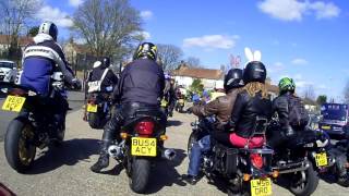 BERKSHIRE EGG RUN  2016
