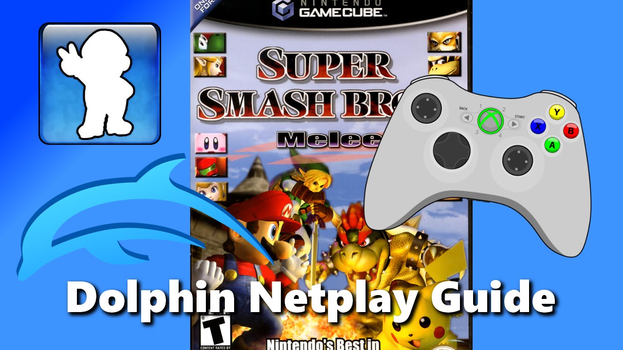 dolphin emulator netplay build