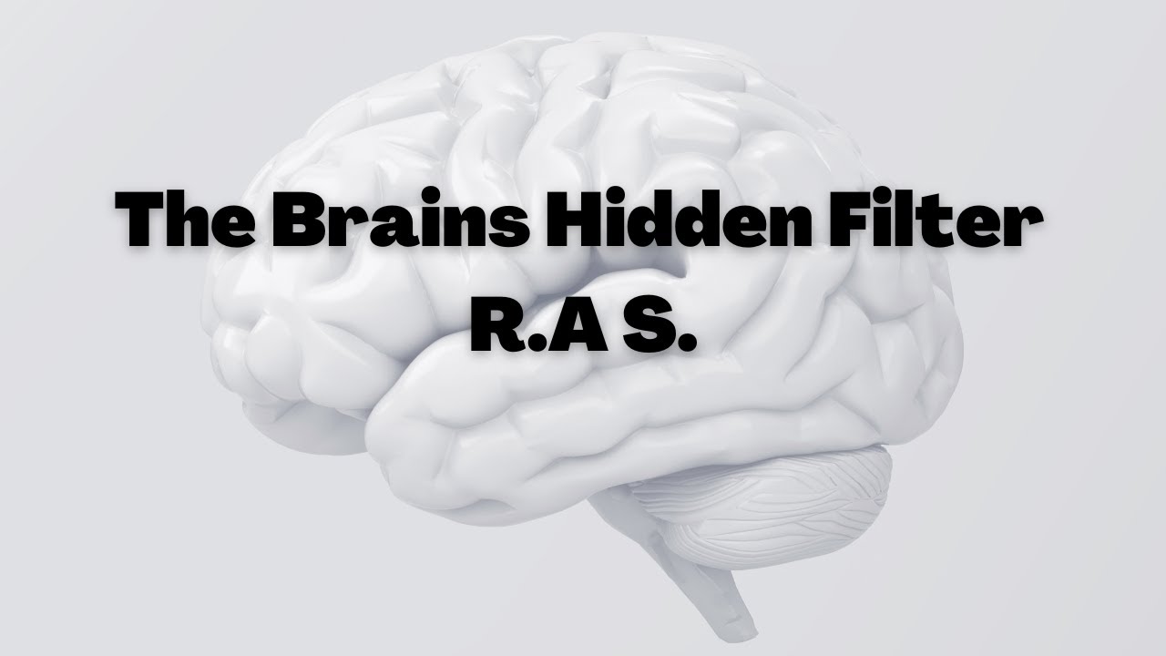How Your Brain's RAS System Influences Your Perception Exploring