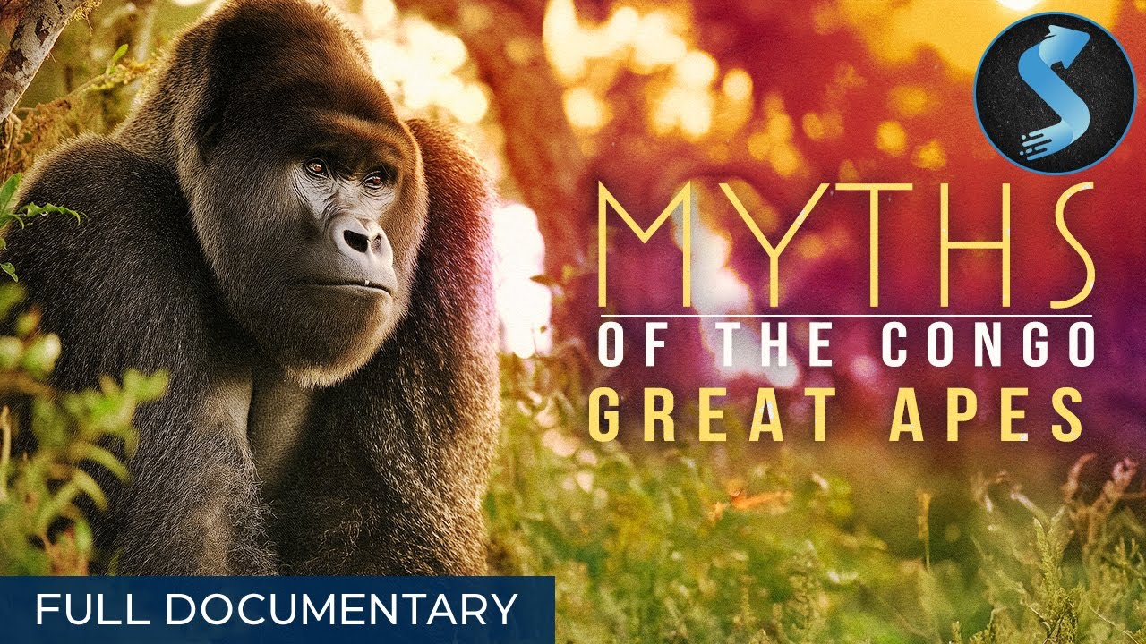 Myths of Congo: Great Apes