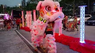 Mishap / Fallen LED Lion Dance 2024 at the End of the video #cny