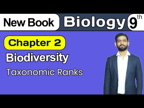 Taxonomic Ranks