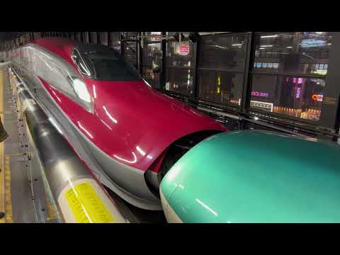 はやぶさ・こまち42号連結 / 盛岡駅