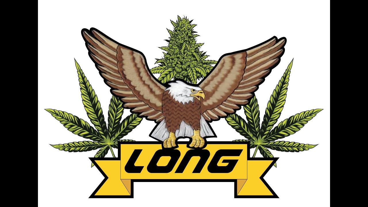 CBD hemp "Bucking Master", the whole-plant bucking machine by Long Equipment Manufacturing Co., LLC.