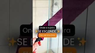 Limpador de vãos: alcance cantos difíceis !#limpadordevao #acheinashopee #achadodabia_br