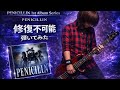 No.55【Bass  cover】PENICILLIN/ 修復不可能 ベース弾いてみた