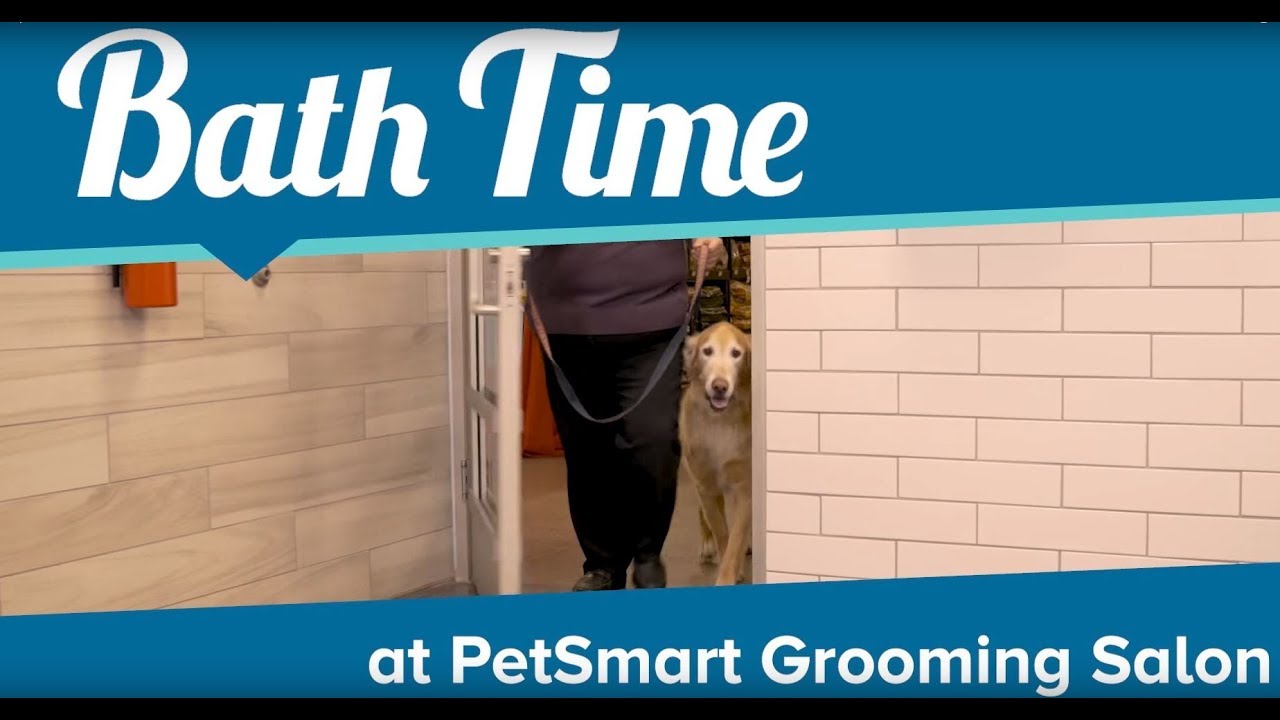 petsmart dog salon