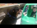 Sweet baby boy meeting Service Dog Rottweiler Sweet baby boy meeting Service Dog Rottweiler