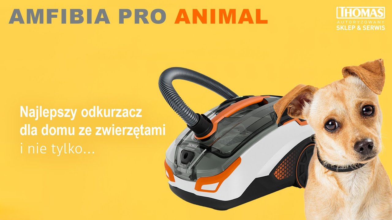 Odkurzacz wodny piorący AMFIBIA PRO ANIMAL THOMAS | Najlepszy odkurzacz dla domu ze zwierzętami!