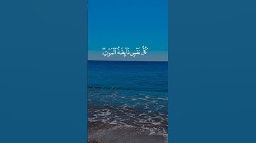 وانت من هو قارئك المفضل 💚 ؟؟