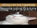 Apex champion loses to a furry