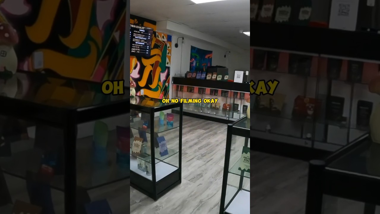 Нас выгнали из нелегального магазина волшебных грибов в Торонто!