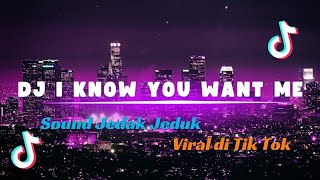 DJ I KNOW YOU WANT ME REMIX VIRAL 2024 Resimi