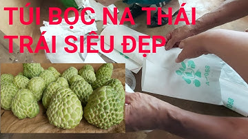 Loại túi bọc cho trái Na Thái, Xoài cực đẹp, siêu ngon, loại bỏ chích hút.