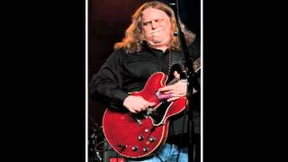 Warren Haynes Band - Everyday will be like a holiday