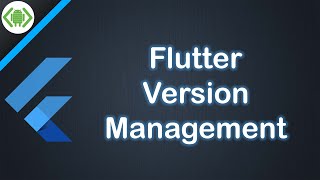 What is FVM