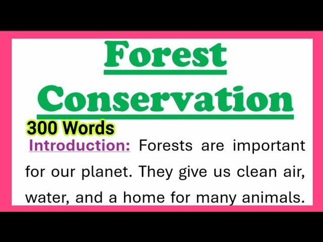 Forest Conservation Essay Writing in English with Introduction and Conclusion 300 Words Speech