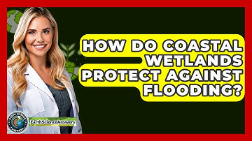 How Do Coastal Wetlands Protect Against Flooding? - Earth Science Answers