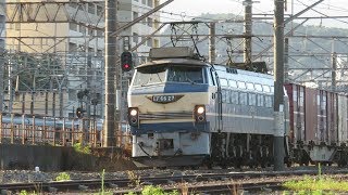 JR貨物・梅雨時のEF66形（Japan Freight Railway）