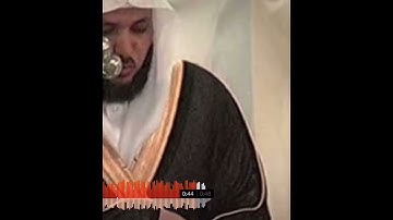سورة العاديات 🤍🤍 / ماهر المعيلقي 🤍🤍 / قراءة مريحة جداً 🤍🤍