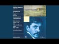 Violin Concerto quasi una fantasia in B-Flat Minor, Op. 21: I. Allegretto