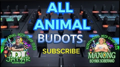 All Animals BUDOTS WOBBLE Manong BoyMix X Dj Jay-ar Soterno Remix