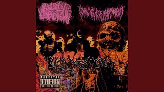 Gutting Your Intestinal Micro Biome (feat. isawyoudielastnight)