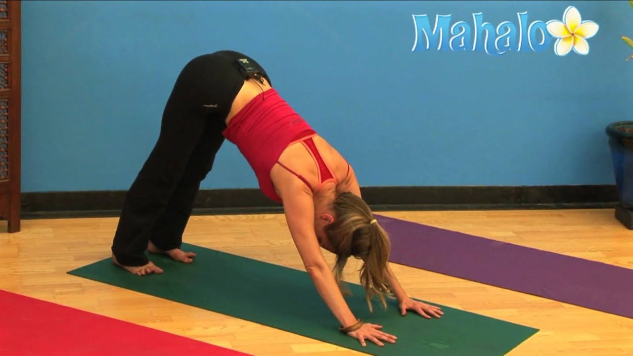 dog How yoga to downward do facing position a position dog facing yoga do downward a How to