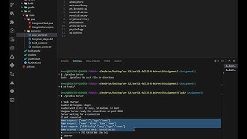 Assignment 3 Task 2: Hangman Game Protocol Video Demonstration