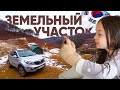 Домашняя рутина и сюрприз с землёй в Корее — спасибо подписчикам! KOREA VLOG