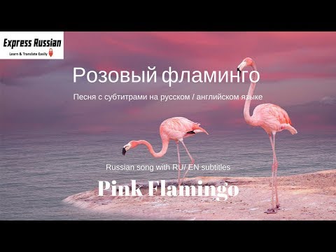 Russian Song Rozoviy Flamingo - Dual Text RU EN / Розовый фламинго Алёна Свиридова