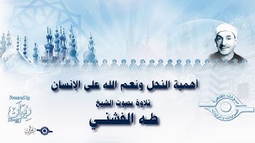 أهمية النحل ونعم الله على الإنسان تلاوة من سورة النحل للشيخ طه الفشني