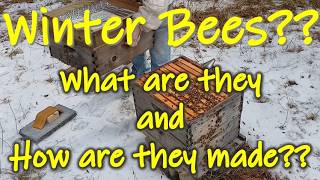 Winter Bees - What ARE They and How ARE They Made??
