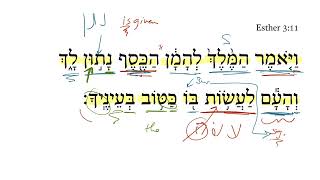 Esther 3:11