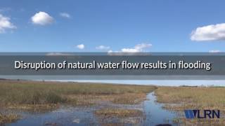 Beneath the Everglades' beauty, many challenges
