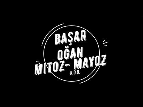 MİTOZ - MAYOZ BÖLÜNME