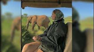 SULTAN - BLUE STEEL 📀 instrumental music 24