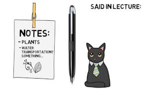 Celebrity Note-Taking In Class Net Worth